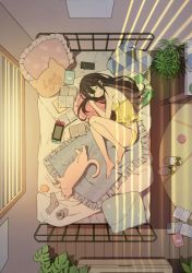 Rule 34 | 1girl, absurdres, animal, ayamy, bed, book, cat, cellphone, closed eyes, closed mouth, flower pot, full body, handheld game console, highres, indoors, lying, miyawaki sana, nintendo switch, on side, original, panties, phone, pillow, plant, scan, sleeping, smile, socks, thighs, underwear, underwear only, window