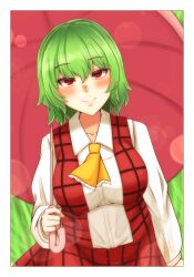 Rule 34 | 1girl, ascot, blackstick128, blush, breasts, closed mouth, commentary, green hair, highres, holding, holding umbrella, kazami yuuka, large breasts, long sleeves, looking at viewer, plaid, plaid vest, red eyes, red skirt, red umbrella, red vest, sailor collar, shirt, short hair, skirt, smile, solo, touhou, umbrella, vest, white shirt, yellow ascot