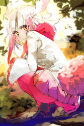 Rule 34 | 10s, 1girl, ass, brown footwear, day, gloves, head wings, hidori (hibi toridori), japanese crested ibis (kemono friends), kemono friends, long hair, long sleeves, looking at viewer, looking back, multicolored hair, outdoors, pantyhose, red gloves, red hair, red pantyhose, red skirt, shoes, sidelocks, sketch, skirt, solo, squatting, tail, two-tone hair, white hair, wide sleeves, wings, yellow eyes
