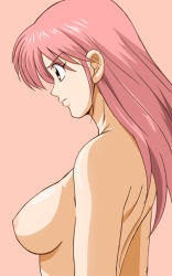 Rule 34 | breasts, dragon quest, dragon quest dai no daibouken, kosokosomaru (higashi taishi), maam, nipples, nude, tagme