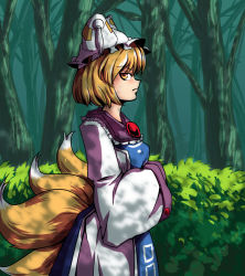 Rule 34 | 1girl, animal hat, bad id, bad pixiv id, blonde hair, bush, dress, forest, fox tail, frown, hands in opposite sleeves, hat, hat with ears, looking at viewer, mob cap, multiple tails, nature, mob cap, profile, short hair, sideways glance, solo, tabard, tail, tassel, toluda, touhou, yakumo ran, yellow eyes