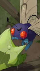 Rule 34 | absurdres, blurry, bug, butterfly, butterfree, cocoon, commentary, creatures (company), day, depth of field, fangs, from above, game freak, gen 1 pokemon, grass, highres, insect, metapod, nintendo, no humans, orange eyes, outdoors, pokemon, pokemon (creature), silk, tree, yunimaru