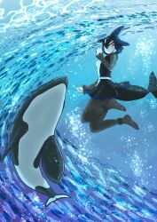 Rule 34 | 1girl, absurdres, air bubble, animal, arm at side, black hair, bodystocking, bubble, cetacean tail, colored inner hair, creature and personification, dolphin girl, dorsal fin, dress, ena jura, fins, fish, fish tail, freediving, full body, hand up, head fins, highres, kemono friends, long bangs, long sleeves, looking at viewer, medium dress, medium hair, multicolored hair, ocean, orange eyes, orca, orca (kemono friends), orca girl, smile, tail, underwater, water, white hair