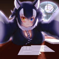 Rule 34 | 1girl, :3, absurdres, animal ear fluff, animal ears, black hair, blue eyes, blush, breast pocket, breasts, cleavage, commentary, commentary request, fang, full moon, fur collar, grey wolf (kemono friends), hakumaiya, heterochromia, highres, indoors, kemono friends, large breasts, looking at viewer, moon, multicolored hair, paper, pocket, skin fang, solo, tail, two-tone hair, white hair, wolf ears, wolf girl, wolf tail, yellow eyes