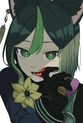 Rule 34 | 1boy, animal ear fluff, animal ears, black gloves, black hair, blood, blood on face, earrings, flower, fox boy, fox ears, genshin impact, gloves, green eyes, green hair, grey hair, hair between eyes, highres, jewelry, looking at viewer, male focus, multicolored hair, open mouth, simple background, single earring, solo, tighnari (genshin impact), upper body, white background, yamimumemo, yellow flower