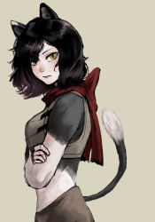 Rule 34 | 1girl, animal ears, armor, black fur, black hair, cat ears, cat girl, cat tail, crossed arms, dungeon meshi, highres, izutsumi, leather armor, looking at viewer, red scarf, scarf, slit pupils, tail, turning head, wedee o, yellow eyes