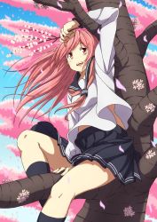 Rule 34 | 1girl, :d, arm up, between legs, black socks, blue skirt, blue sky, branch, breasts, cherry blossoms, cloud, commentary, crossed legs, day, feet out of frame, flower, hand between legs, highres, holding, holding branch, in tree, kneehighs, legs, light smile, long hair, looking away, medium breasts, midriff peek, neckerchief, open mouth, original, outdoors, petals, pink eyes, pink hair, pink neckerchief, pleated skirt, school uniform, serafuku, shirt, sitting, sitting in tree, skirt, sky, smile, socks, solo, straddling, tree, untucked, white shirt, wind, wind lift, you (maumauyo)