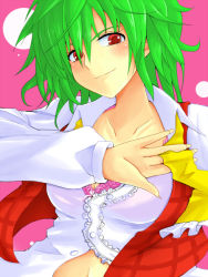 Rule 34 | 1girl, ascot, bad id, bad pixiv id, bra, female focus, green hair, kazami yuuka, lace, lace-trimmed bra, lace trim, lingerie, midriff, navel, open clothes, open shirt, plaid, plaid vest, red eyes, shirt, short hair, smirk, solo, touhou, underwear, untied, upper body, vest, yude
