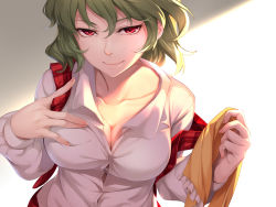 Rule 34 | 1girl, asutora, breasts, buttons, cleavage, closed mouth, collarbone, collared shirt, fingernails, green hair, hair between eyes, hand on own chest, hands up, holding, kazami yuuka, large breasts, long sleeves, looking at viewer, nose, plaid, plaid vest, red eyes, red skirt, scarf, shirt, short hair, skirt, smile, solo, touhou, unbuttoned, unbuttoned shirt, upper body, vest, white shirt, wing collar