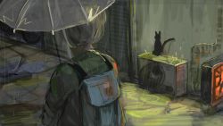 Rule 34 | 1girl, alley, backpack, bag, black cat, cat, city, diva (hyxpk), green jacket, highres, jacket, night, original, rain, sketch, solo, transparent, transparent umbrella, umbrella
