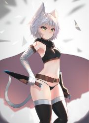Rule 34 | 1girl, animal ears, bandaged arm, bandages, belt, black gloves, black panties, black thighhighs, breasts, cat ears, cat tail, ehrrr, fate/apocrypha, fate (series), gloves, green eyes, highres, holding, holding knife, jack the ripper (fate/apocrypha), kemonomimi mode, knife, navel, panties, scar, scar across eye, scar on face, sheath, sheathed, shoulder tattoo, silver hair, single glove, small breasts, solo, tail, tattoo, thighhighs, underwear