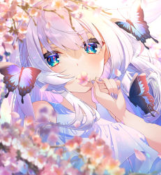 Rule 34 | 1girl, absurdres, blue eyes, blush, bug, butterfly, cherry blossoms, covering own mouth, flower, frilled shirt, frills, highres, holding, holding flower, insect, long hair, looking at viewer, nail polish, original, parted lips, shirt, sleeveless, sleeveless shirt, solo, tears, white hair, yupiteru