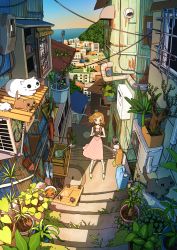 Rule 34 | 1girl, backpack, bag, brown eyes, brown hair, building, camera, cat, dress, hair ornament, hairclip, highres, holding, holding camera, industrial pipe, leaf, looking at viewer, original, outdoors, pink dress, plant, potted plant, shadow, short hair, solo, stairs, standing, tao (tao15102), wide shot, window