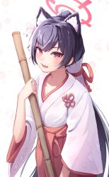 Rule 34 | 1girl, absurdres, animal ear fluff, animal ears, black hair, blue archive, blush, broom, cat ears, commentary request, cowboy shot, fang, hair tubes, hakama, hakama skirt, halo, highres, holding, holding broom, japanese clothes, kimono, kry oekk, long hair, long sleeves, looking at viewer, miko, official alternate costume, open mouth, ponytail, red eyes, red hakama, red halo, red skirt, serika (blue archive), serika (new year) (blue archive), simple background, skin fang, skirt, solo, standing, very long hair, white background, white kimono, wide sleeves