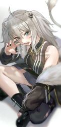 Rule 34 | 1girl, animal ears, bare shoulders, black nails, black thighhighs, breasts, cleavage, fingernails, from above, grey hair, hair between eyes, hololive, indian style, kobayashi (jna x rgh), lion ears, lion girl, lion tail, long hair, looking at viewer, medium breasts, nail polish, see-through, see-through cleavage, shishiro botan, shishiro botan (1st costume), single thighhigh, sitting, solo, tail, thighhighs, thighs, virtual youtuber