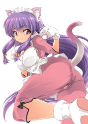 Rule 34 | 1girl, animal ears, animal hands, apron, ass, bell, blush, breasts, cameltoe, cat ears, cat paws, cat tail, chinese clothes, from below, hair bell, hair ornament, kemonomimi mode, large breasts, long hair, looking at viewer, nekomimi mode, pants, pantylines, paw pose, paw shoes, purple eyes, purple hair, ranma 1/2, shampoo (ranma 1/2), smile, solo, tail, very long hair