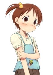 Rule 34 | 1girl, blush, brown eyes, brown hair, food, fruit, hair bobbles, hair ornament, hand on own arm, ichigo mashimaro, itou chika, looking at viewer, short hair, side ponytail, solo, standing, strawberry, white background