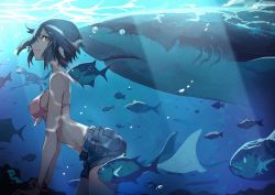 Rule 34 | 1girl, animal, bangle, bare arms, bare shoulders, bikini, bikini top only, black hair, blue shorts, bracelet, breasts, brown eyes, commentary request, dappled sunlight, day, diving mask, fish, goggles, highres, jewelry, medium breasts, ocean, original, outdoors, parted lips, pink bikini, polearm, sanshouuo, shark, short shorts, shorts, solo, sunlight, swimsuit, trident, underwater, water, weapon