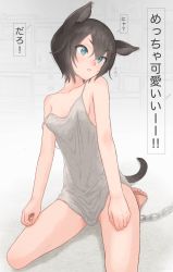 Rule 34 | 1girl, animal ear fluff, animal ears, bare shoulders, black hair, blue eyes, bottomless, breasts, camisole, cat ears, cat girl, cat tail, chain, collarbone, grey camisole, hair between eyes, hands on legs, kneeling, looking ahead, looking to the side, no bra, no panties, no pants, off shoulder, on ground, original, parted lips, plus step, seiza, shelf, short hair, sideboob, sitting, small breasts, solo, strap slip, tail