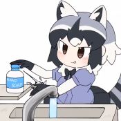 Rule 34 | 1girl, animal ears, animated, black gloves, black hair, black skirt, blush, brown eyes, commentary, common raccoon (kemono friends), coronavirus pandemic, fur collar, gloves, grey hair, hand soap, kemono friends, long sleeves, looping animation, multicolored hair, raccoon ears, raccoon tail, shirt, simple background, sink, skirt, soap, soap bottle, soap bubbles, solo, tail, tail wagging, taro (tontaro), video, washing, washing hands, white background, white hair