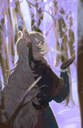 Rule 34 | 1girl, animal ears, arknights, bare tree, blue coat, blurry, breath, brown gloves, capelet, coat, cold, cowboy shot, day, depth of field, gloves, grey eyes, hair ornament, hair ribbon, highres, koio, leopard ears, long hair, looking up, official alternate costume, outdoors, parted lips, pramanix (arknights), pramanix (caster&#039;s frost) (arknights), profile, ribbon, silver hair, snow, solo, tree