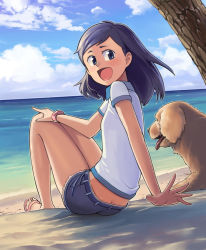 Rule 34 | 1girl, :d, beach, black hair, blue eyes, blurry, bowieknife, butt crack, cloud, day, depth of field, dog, flat chest, from behind, hand on own knee, happy, long hair, looking back, ocean, open mouth, original, outdoors, sandals, shirt, shorts, sitting, smile, solo, water