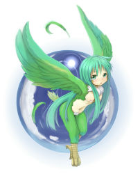 Rule 34 | blush, breasts, feathers, green eyes, green hair, harpy, long hair, monster girl, tail, wings