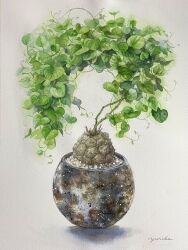Rule 34 | english text, gravel, highres, leaf, light, no humans, ooy33151086, original, painting (medium), plant, potted plant, realistic, shadow, still life, traditional media, watercolor (medium), white background