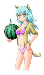 Rule 34 | 1coin, 1girl, animal ears, bikini, blue hair, bracelet, dog ears, dog tail, fictional persona, food, front-tie top, fruit, holding, holding food, holding fruit, hood, hoodie, jewelry, long hair, navel, open clothes, open hoodie, original, parka, self-portrait, sleeves rolled up, solo, striped bikini, striped clothes, swimsuit, tail, watermelon, yellow eyes