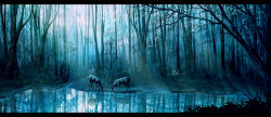 Rule 34 | 108, bad id, blue theme, deer, forest, lake, landscape, nature, no humans, photorealistic, pond, realistic, reflection, reflective water, scenery, water