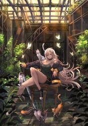 Rule 34 | 1girl, absurdres, black footwear, breasts, bug, butterfly, cat, chair, cleavage, closed mouth, converse, dolphin shorts, floating hair, grass, grey hair, gym shorts, hair between eyes, highres, holding, holding sword, holding weapon, indoors, insect, jacket, katana, knee up, long hair, looking at viewer, medium breasts, open clothes, open jacket, original, overgrown, planted, planted sword, planted weapon, qbspdl, red eyes, shoes, short shorts, shorts, sitting, sneakers, solo, strap slip, sword, tank top, tsurime, very long hair, weapon