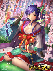 Rule 34 | 1girl, blue hair, breasts, bridge, brown eyes, cleavage, copyright name, dutch angle, flower, grass, hair flower, hair ornament, jewelry, long hair, looking at viewer, miyano akihiro, necklace, official art, outdoors, pointing, pointing up, sangokushi tenka, sitting, solo, watermark