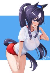 Rule 34 | 1girl, a.nori, absurdres, alternate costume, animal ears, blue hair, breasts, buruma, commentary request, dark blue hair, gym uniform, highres, horse ears, horse tail, large breasts, long hair, looking at viewer, mole, mole under eye, ponytail, purple eyes, red buruma, signature, simple background, solo, sweat, tail, thighs, umamusume, verxina (umamusume)