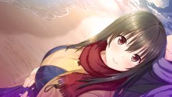 Rule 34 | 1girl, absurdres, beach, black hair, blush, breasts, brown eyes, closed mouth, cloud, coat, couple, day, dress, from above, game cg, happy, highres, large breasts, long hair, looking up, nekonyan, ocean, original, outdoors, sand, scarf, sky, smile, solo focus, standing, tonari ni kanojo no iru shiawase ~winter guest~, water, yukimura shiho