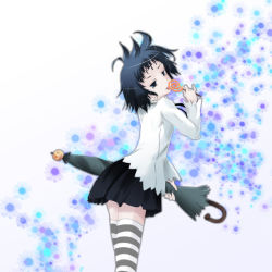 Rule 34 | 00s, candy, d.gray-man, food, lollipop, ooka (skavler), road kamelot, short hair, skirt, solo, striped clothes, striped thighhighs, thighhighs, umbrella