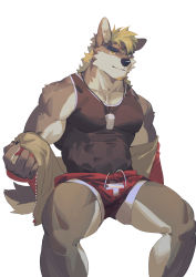 Rule 34 | 1boy, absurdres, animal ears, bara, black tank top, body fur, brown eyes, brown fur, bulge, covered erect nipples, dog boy, dog ears, dog tail, feet out of frame, furry, furry male, highres, jacket, jacket partially removed, large pectorals, lifeguard, male focus, male swimwear, muscular, muscular male, original, pectoral cleavage, pectorals, print shorts, red shorts, seato-hao, short hair, shorts, sitting, smile, snout, solo, swim briefs, swimsuit, swimsuit under clothes, tail, tank top, thick eyebrows, thick thighs, thighs, whistle, whistle around neck, white background, white male swimwear