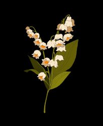 Rule 34 | black background, commentary, commission, english commentary, flower, highres, leaf, libbyframe, lily of the valley, no humans, original, plant, signature, simple background, still life, white flower