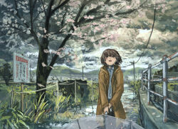 Rule 34 | 1girl, absurdres, after rain, anko1127, black skirt, bright pupils, brown eyes, brown hair, cherry blossoms, cloud, cloudy sky, coat, commentary request, corrugated galvanized iron sheet, cowboy shot, dress shirt, highres, holding, holding umbrella, hood, hood down, hooded coat, long sleeves, looking up, open clothes, open coat, open mouth, original, path, pleated skirt, power lines, railing, road, rope fence, rust, scenery, shirt, sign, skirt, sky, smile, solo, sunlight, translation request, tree, umbrella, wet ground, white pupils, white shirt, wide shot, yellow raincoat
