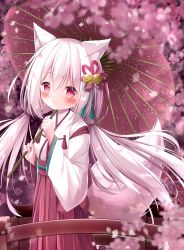 Rule 34 | 1girl, absurdres, animal ear fluff, animal ears, bell, blush, cherry blossoms, closed mouth, fox ears, fox girl, fox tail, hair bell, hair between eyes, hair ornament, hakama, hakama skirt, highres, holding, holding umbrella, japanese clothes, long hair, long sleeves, low twintails, miko, oil-paper umbrella, original, pink theme, red eyes, red skirt, shirt, sidelocks, skirt, smile, solo, tail, tail raised, twintails, umbrella, very long hair, white hair, white shirt, wide sleeves, yuduki pdx