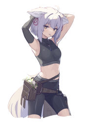 Rule 34 | 1girl, ahoge, animal ears, armpits, arms up, asicah, bare arms, bare shoulders, belt, belt pouch, black gloves, black shirt, black shorts, blouse, breasts, crop top, cropped legs, elbow gloves, gloves, grey eyes, hair ribbon, jewelry, looking at viewer, midriff, mouth hold, necklace, original, pouch, ribbon, shirt, short hair, shorts, simple background, single elbow glove, sleeveless, sleeveless shirt, small breasts, solo, stomach, tail, white background, white hair