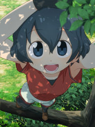 Rule 34 | 10s, 1girl, :d, armpits, arms up, black gloves, black hair, blue eyes, blue hair, commentary request, day, foreshortening, from above, gloves, grass, hair between eyes, highres, in tree, kaban (kemono friends), kemono friends, leaf, looking at viewer, open mouth, outdoors, pantyhose, pantyhose under shorts, red shirt, sat-c, shirt, short hair, shorts, smile, solo, standing, tree