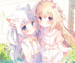 Rule 34 | 2girls, ahoge, animal ear fluff, animal ears, apron, bare arms, bare shoulders, blonde hair, blue eyes, blush, bow, braid, cat ears, cat girl, closed mouth, collared dress, commentary, dress, frilled apron, frilled shirt collar, frills, hair between eyes, hair ornament, hairclip, hand up, heart, heart ahoge, looking at viewer, multiple girls, original, parted lips, pink dress, puffy short sleeves, puffy sleeves, purple dress, purple eyes, shiratama (shiratamaco), short sleeves, sleeveless, sleeveless dress, symbol-only commentary, waist apron, white apron, white hair, x hair ornament, yellow bow