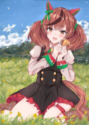 Rule 34 | 1girl, absurdres, animal ears, black dress, blue sky, boots, bow, brown eyes, brown footwear, brown hair, buttons, cdsola, cloud, cloudy sky, double-breasted, dress, ear covers, grass, highres, horse ears, horse girl, juliet sleeves, long sleeves, looking at viewer, medium hair, multicolored hair, nice nature (umamusume), on ground, open mouth, outdoors, puffy sleeves, red hair, sitting, sky, smile, solo, streaked hair, striped, striped bow, thigh strap, umamusume, wariza