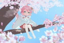 Rule 34 | 1girl, aged down, ahoge, barefoot, bell, branch, cherry blossoms, child, feet, green eyes, hair ornament, hairclip, highres, hololive, in tree, japanese clothes, jingle bell, looking at viewer, machico maki, miko, one side up, open mouth, outdoors, petals, pink hair, red shorts, sakura miko, sakura miko (work), shirt, short hair, shorts, sitting, sitting in tree, smile, solo, toes, tree, virtual youtuber, white shirt