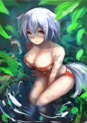 Rule 34 | 1girl, albino, animal ears, bare shoulders, bikini, breasts, cleavage, colorized, female focus, from above, inubashiri momiji, large breasts, looking at viewer, looking up, no headwear, no headwear, open mouth, panties, partially submerged, red eyes, ripples, shade, short hair, sitting, sketch, solo, swimsuit, tail, touhou, tree shade, twitter username, underwear, water, white hair, wolf ears, wolf tail, wowoguni