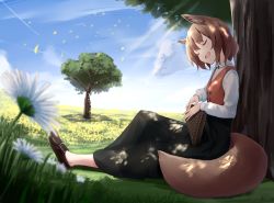 Rule 34 | 1girl, :d, absurdres, akinakesu-chan, animal ear fluff, animal ears, black pants, blue sky, blurry, blurry foreground, blush, brown footwear, brown hair, cloud, commentary request, copyright request, day, depth of field, closed eyes, flower, full body, highres, instrument, instrument request, long sleeves, music, on grass, open mouth, outdoors, pants, petals, playing instrument, red vest, shirt, shoes, sitting, sky, smile, solo, tail, tree, vest, white flower, white shirt