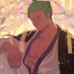 Rule 34 | 1boy, absurdres, bad id, bad pixiv id, black eyes, cherry blossoms, coat, coat on shoulders, earrings, green hair, highres, japanese clothes, jewelry, kimono, looking at viewer, male focus, mouth hold, one piece, quana, roronoa zoro, scar, scar across eye, scar on face, short hair, solo, stalk in mouth, topknot