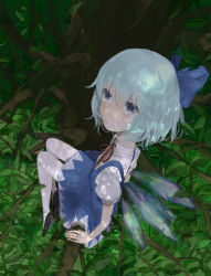Rule 34 | 1girl, bad id, bad pixiv id, blue eyes, blue hair, bow, cirno, dress, from above, hair bow, in tree, matching hair/eyes, pantyhose, short hair, sitting, sitting in tree, slash (syrh3ee), solo, touhou, tree, white pantyhose, wings