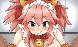 Rule 34 | 1girl, animal ear fluff, animal ears, animal hands, apron, bell, blush, breasts, collar, fate/grand order, fate (series), fox ears, fox girl, gloves, hair ribbon, highres, jingle bell, large breasts, long hair, looking at viewer, maid headdress, matahachi (matahachi4230), neck bell, paizuri, paw gloves, pink hair, ponytail, pov, red ribbon, ribbon, solo, tamamo (fate), tamamo cat (fate), tongue