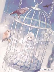 1girl alpaca_connect bird birdcage blue_sky cage chain clona closed_mouth cloud collared_dress dot_mouth dress eagle expressionless flower frilled_dress frills full_body half-closed_eyes hand_on_own_stomach highres in_cage key lock long_hair long_sleeves neck_ribbon owl ribbon rose sidelocks sitting sky solo swept_bangs white_dress white_flower white_hair white_letter white_ribbon white_rose yellow_eyes